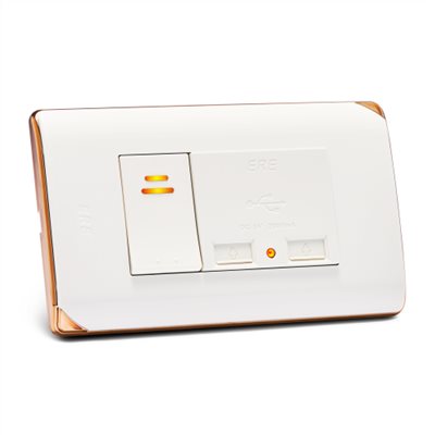 RCQ-4101　RICEME 縷光USB充電器附開關(銅邊)
