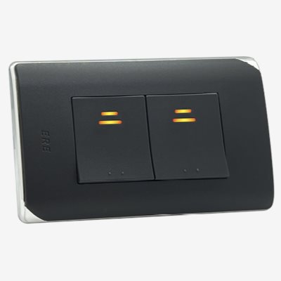 RCS-102H　(灰) RICEME 縷光雙開關(銀邊)